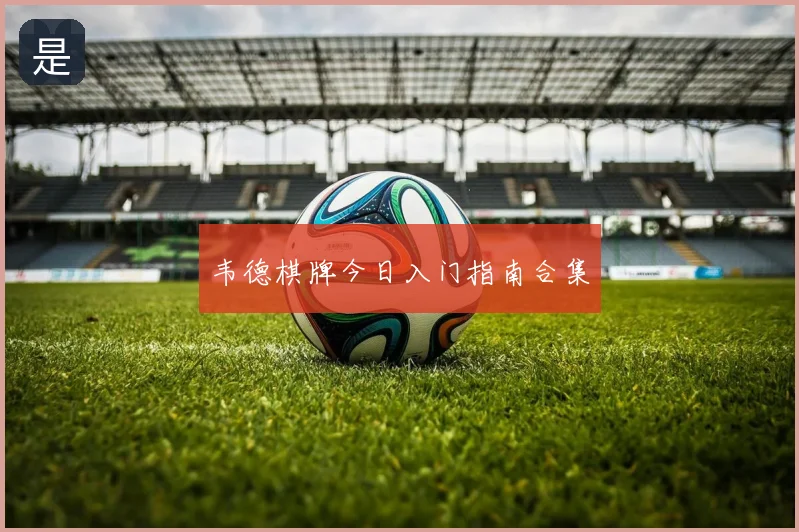 韦德棋牌今日入门指南合集